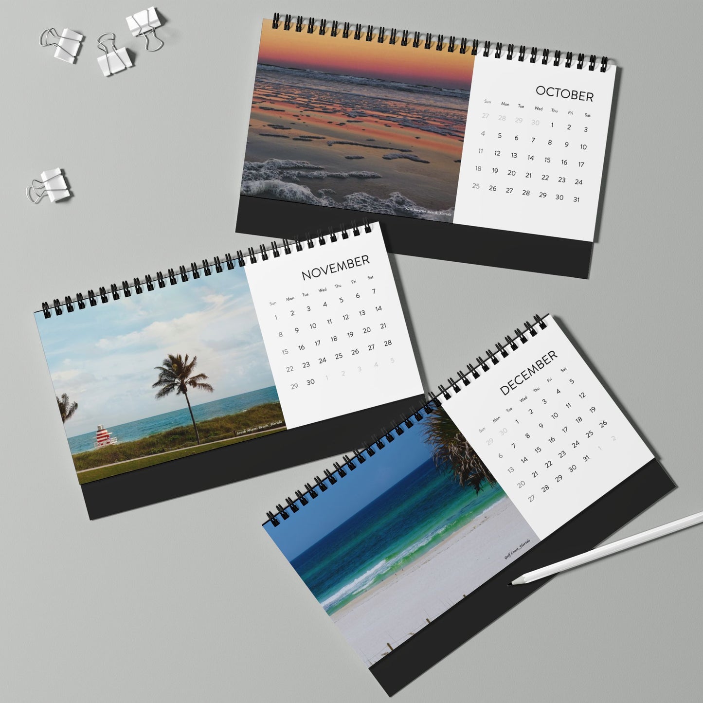 2026 Florida Coast Desktop Calendar — Scenic Palm Beach Grid Planner