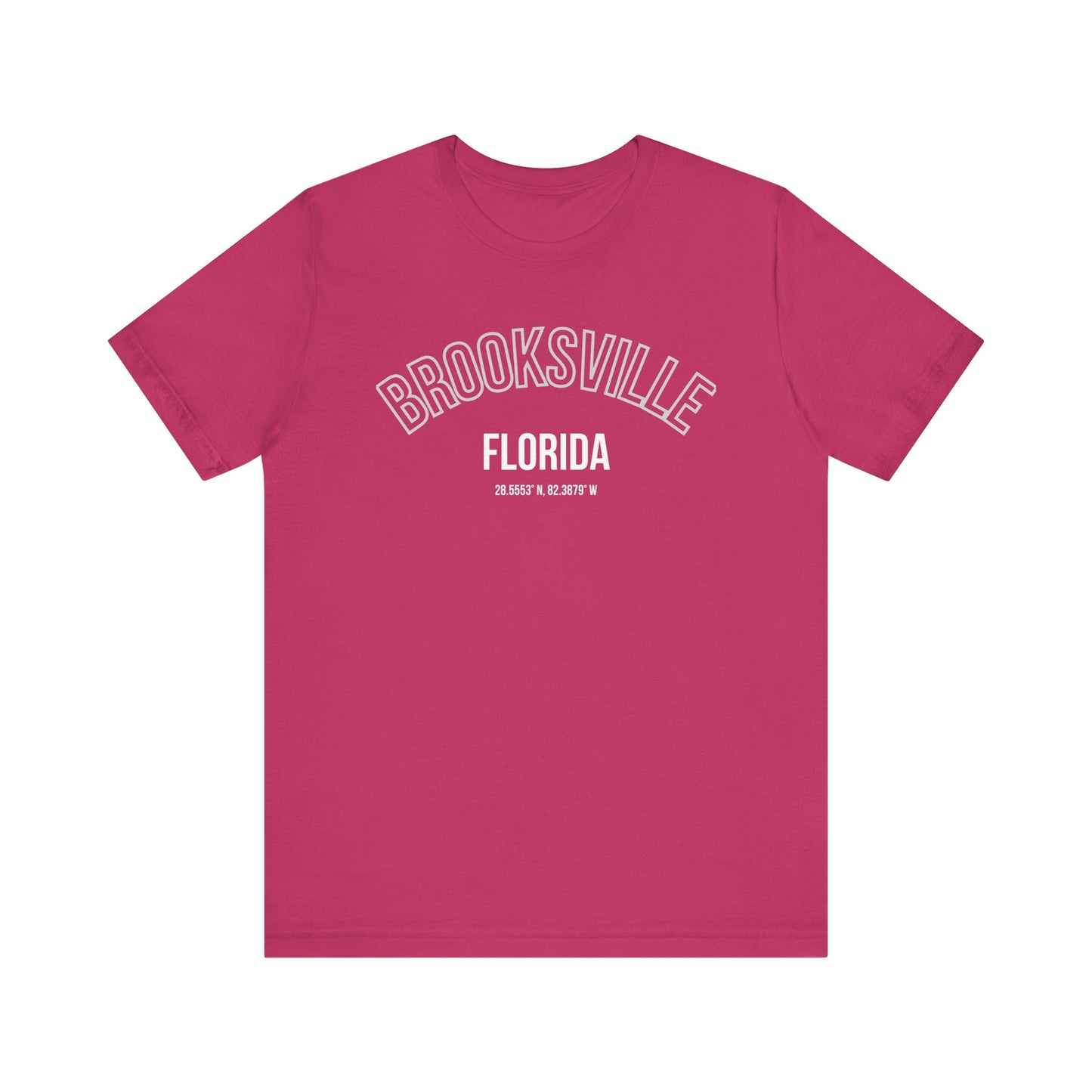 Brooksville Florida Unisex Jersey Short Sleeve Tee