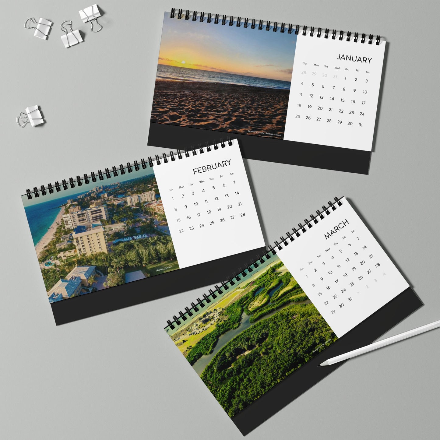 2026 Florida Coast Desktop Calendar — Scenic Palm Beach Grid Planner